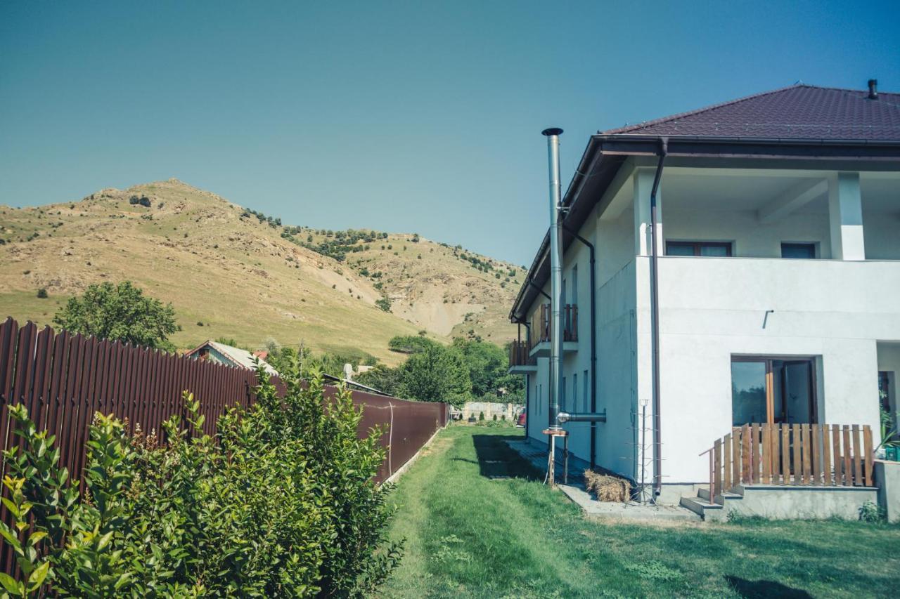 Pensiunea La Nenea Iancu Greci Exterior photo